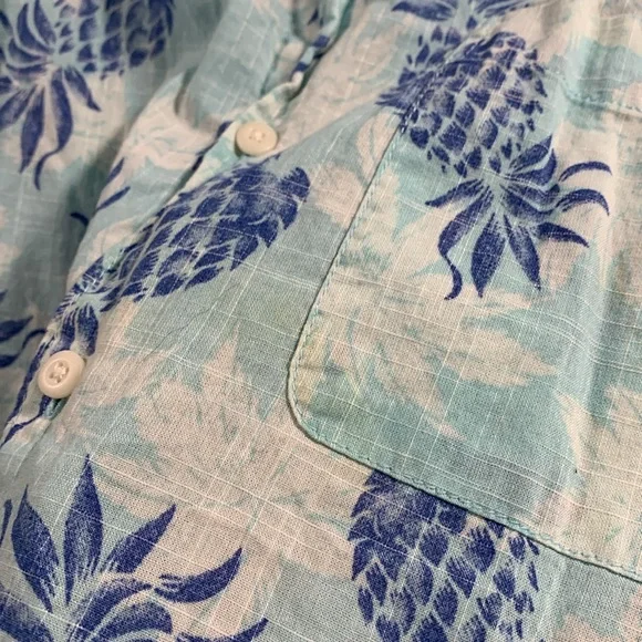 IZOD Saltwater Relaxed Classic Blue Pineapple Button Down - Picture 3 of 10